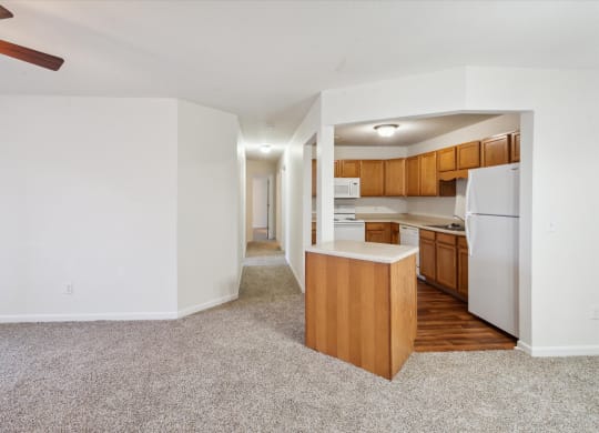 Living Area with Plush Carpeting