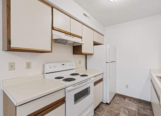 Kitchen with Wood Cabinets