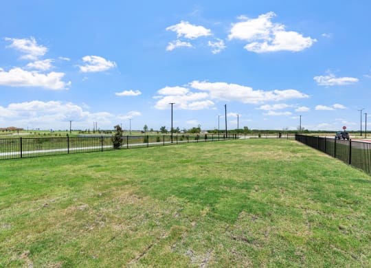 Dog Park