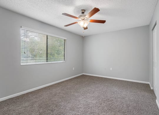 Bedroom with Natural Lighting