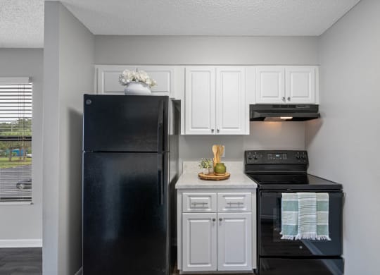 Kitchen with Black Appliances