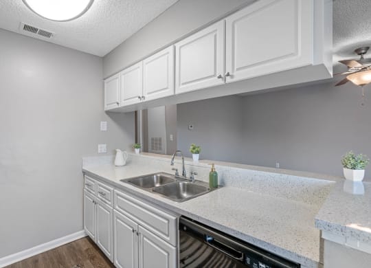 Kitchen with White Cabinetry