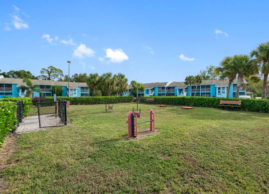 Dog Park with Equipment
