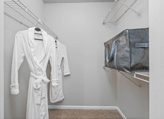 Walk-In Closet With Built-In Shelving