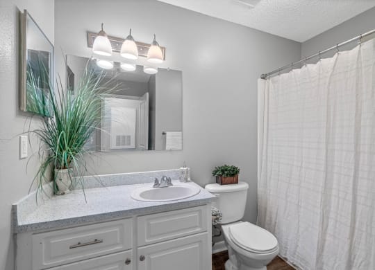 Bathroom with White Cabinets