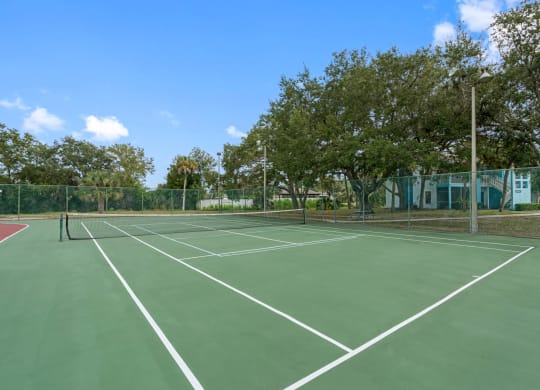 Tennis/Pickleball Court