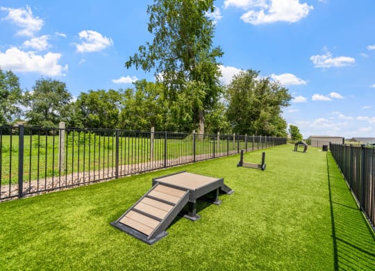 Dog Park with Equipment