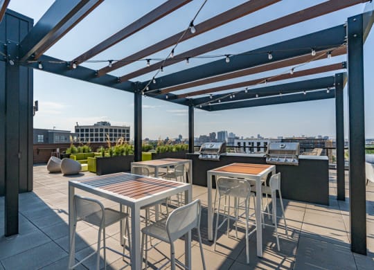 Rooftop Deck With Grilling Area & Lounge