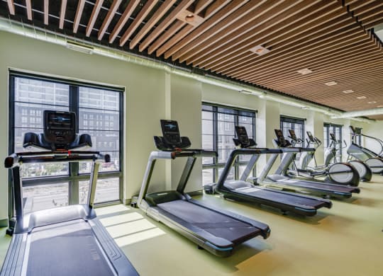 Treadmills at the Gym