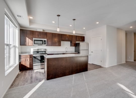 Premium Lighting & Natural Light In The Kitchen