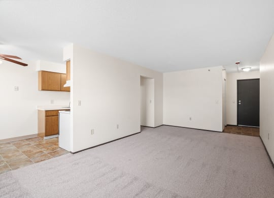 Living Room with Plush Carpeting