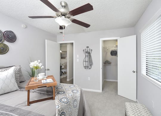 Bedroom with Walk-In Closet