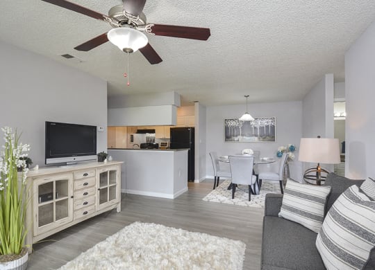 Open Layout Living Room and Dining Room