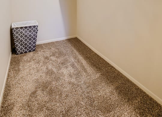 our spacious closets are stocked with toys and shelves in our apartments with a carpet