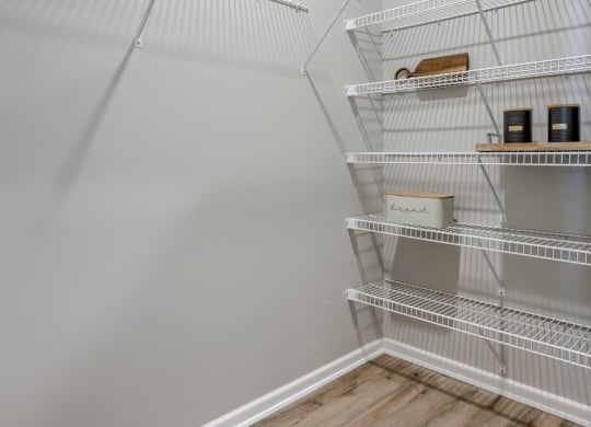 Walk-In Closet With Built-In Shelving