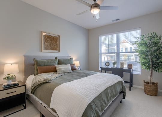 Bedroom with Plush Carpeting