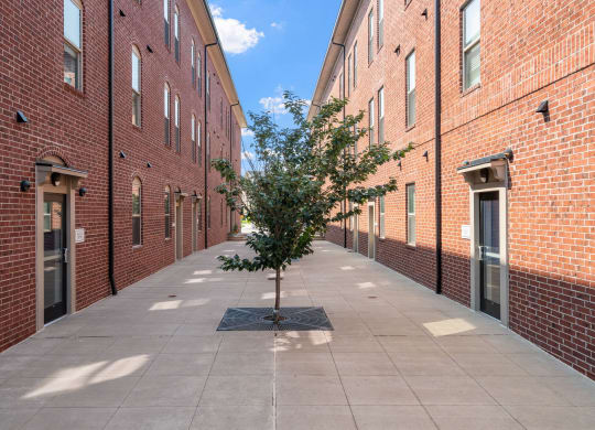 Walkway between Synergy Apartment Homes