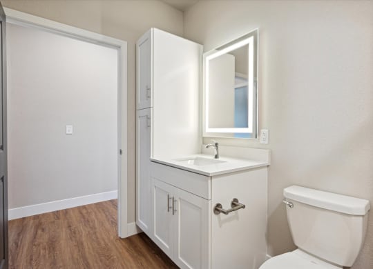 Bathroom with Modern Finishes