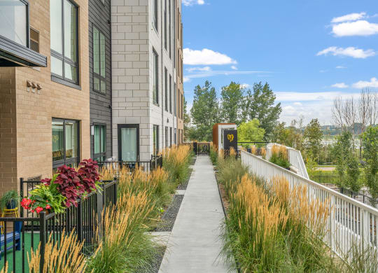 Walkway with Lush Greenery