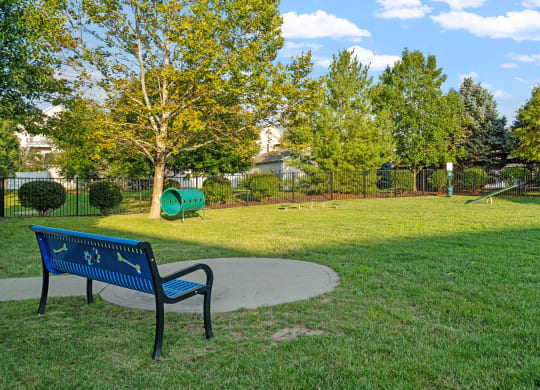 Dog Park