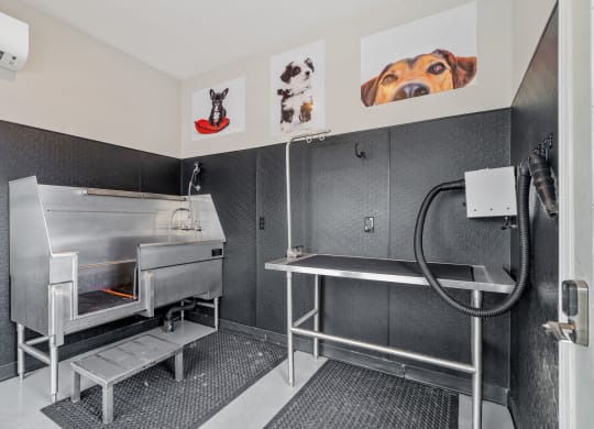 Pet Spa