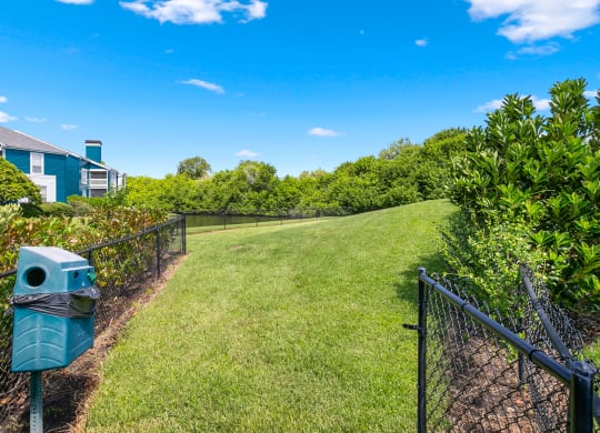 Lush 1 Acre Dog Park