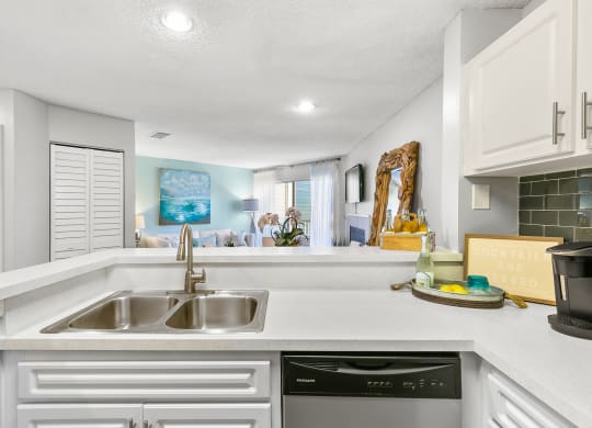 Stainless Steel Dishwasher