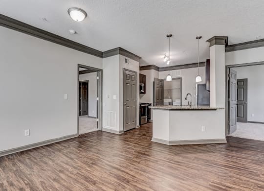 Open Concept Living With Wood-Style Floors