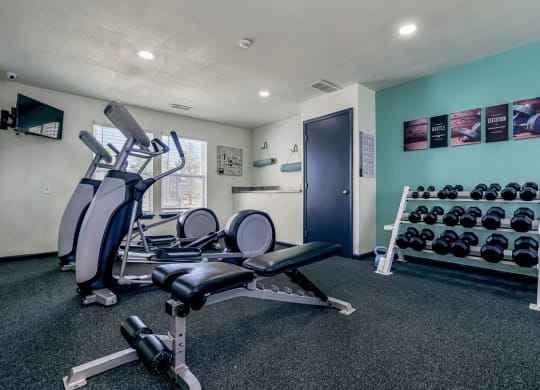 Free Weights At The Fitness Center
