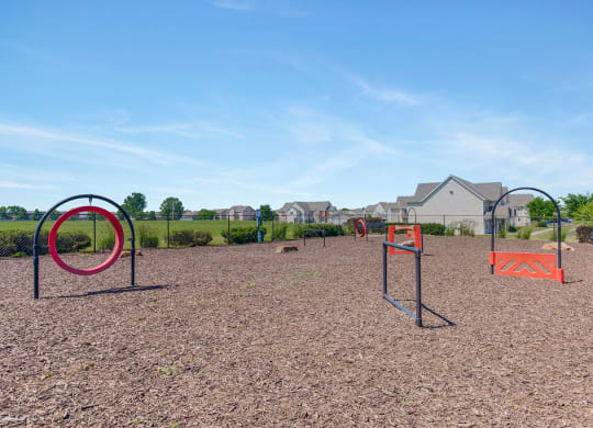 Expansive Dog Park With Obstacle Courses