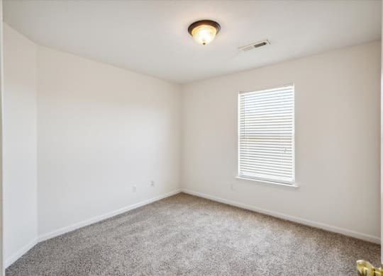 Bedroom with Plush Carpeting