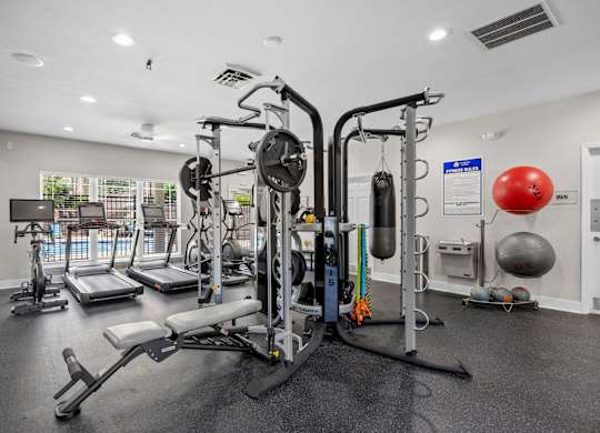 A gym with a variety of equipment including a weight bench, a leg press machine, a cable machine, a treadmill, a stationary bike, a rowing machine, a medicine ball, and a punching bag.