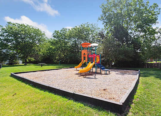 Playground Area