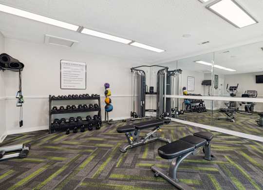 Fitness Center with Dumbbell Equipment