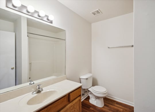 Bathroom With Wood-Style Flooring