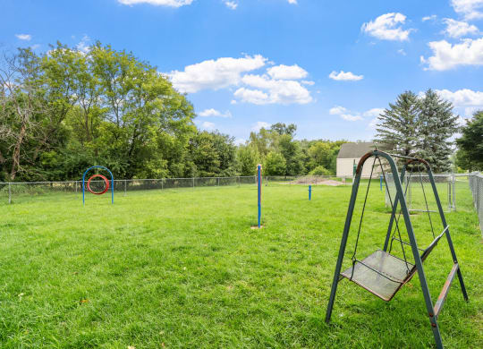 Dog Park with Swing