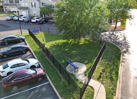 Aerial View of Dog Park