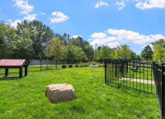 Dog Park