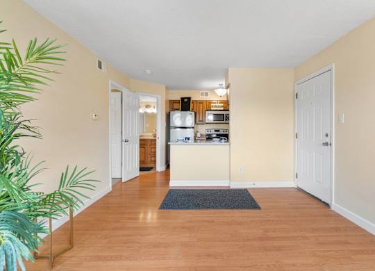 Spacious Living Area With Wood-Style Flooring