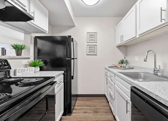 Kitchen with Premium Fixtures and Finishes