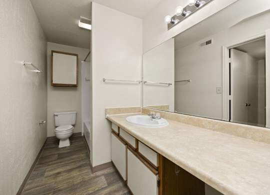 Bathroom with Large Vanity