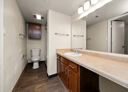Large Bathroom Vanity