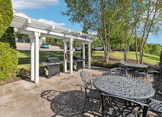 Grilling/Picnic Area