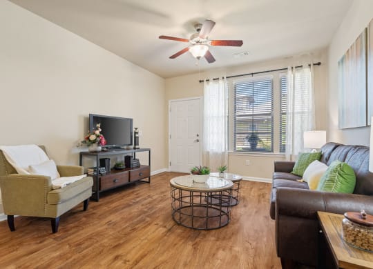 Spacious Living Area With Wood-Style Flooring