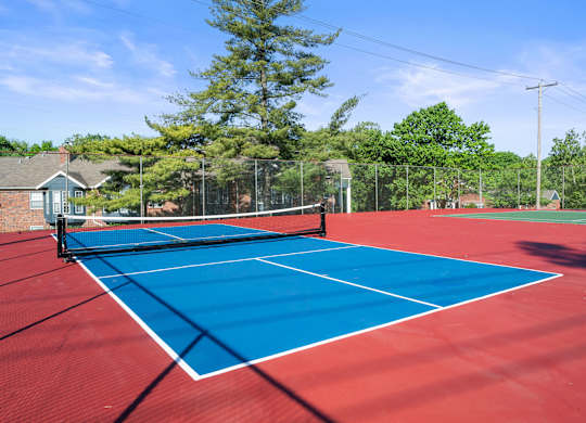 Pickleball Court