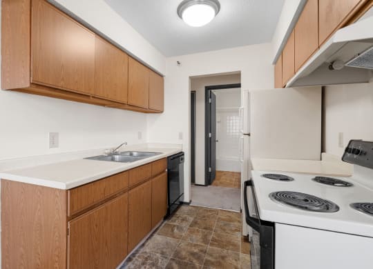 Kitchen with Wood Cabinets