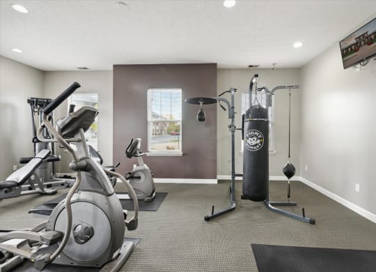 Fitness Center with Punching Bag