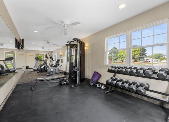 Fitness Center with Dumbbell Equipment