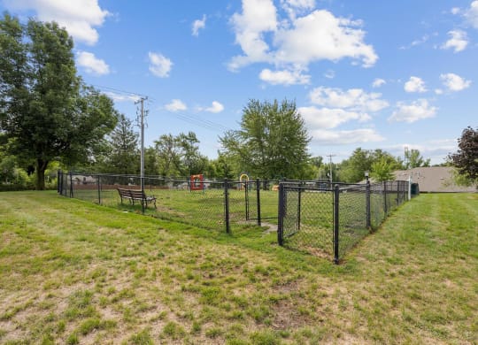 Dog Park