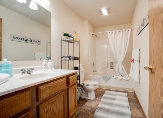 Spacious Bathroom With Shower & Tub